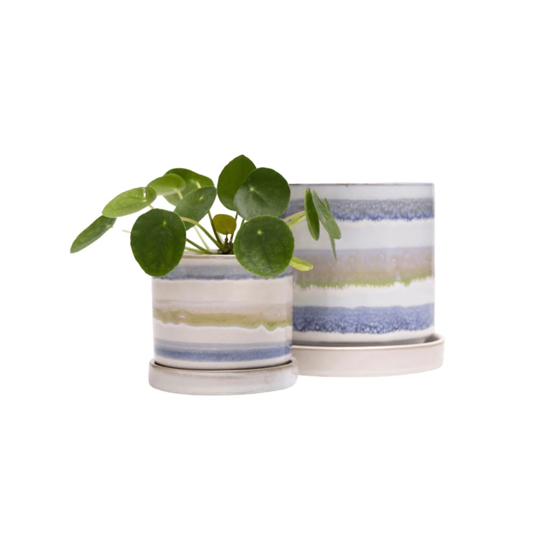 Minute Pot With Saucer – Chive – Blue-Green – 5″
